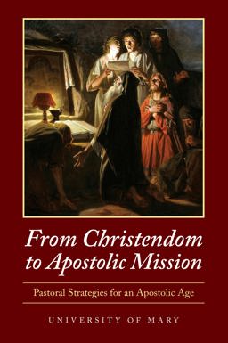 From Christendom to Apostolic Mission Pastoral Strategies for an Apostolic Age  9780998872896 Front Cover