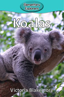 Koalas 1st 9780998985510 Front Cover