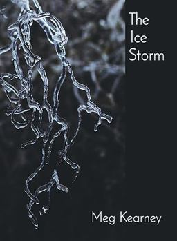 The Ice Storm