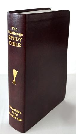 The CEV Challenge Study Bible - Flexi Bind The CEV Challenge Study Bible - Flexi Bind