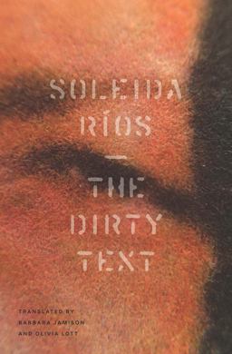 Dirty Text  9780999719817 Front Cover