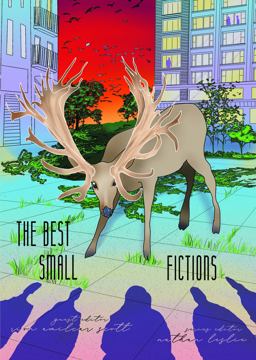 Best Small Fictions 2021 Anthology  9780999750162 Front Cover