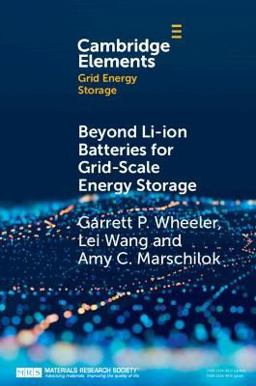 Beyond Li-Ion Batteries for Grid-Scale Energy Storage