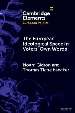 The European Ideological Space in Voters' Own Words
