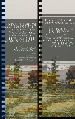 Rand, Mcnally & Co. 's Bird's-Eye Views and Guide to Chicago