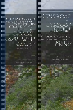 Catecismo Romano Compuesto Por Decreto Del Sagrado Concilio Tridentino