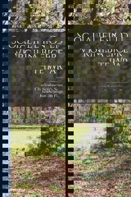 Social Life in Old Virginia Before the War