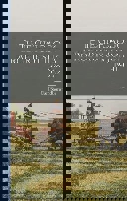 The Chicago Race Riots, July 1919