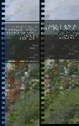 Ancient Laws of Ireland; Volume 2