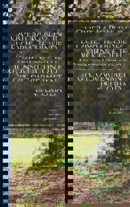 Carpet Bag Rule in Florida. the Inside Workings of the Reconstruction of Civil Government in Florida