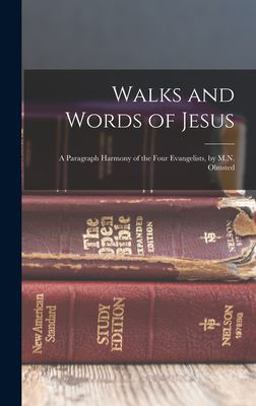 Walks and Words of Jesus