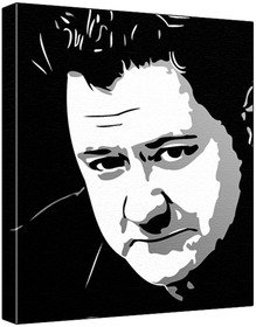 The Anatomy of the Human Eye As Illustrated by Enlarged Stereoscopic Photographs