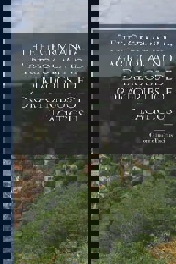 The Germania, Agricola, and Dialogus de Oratoribus of Tacticus