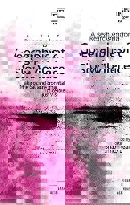 A Research Agenda for Geographies of Slow Violence