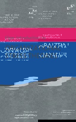 Elgar Introduction to Organizational Stress Theories