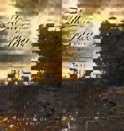 Tales from the Hollow