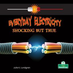Everyday Electricity, Shocking but True