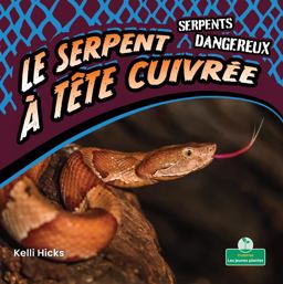 Le serpent à Tête Cuivrée