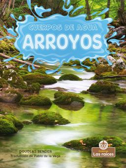 Cuerpos de Agua- Arroyos
