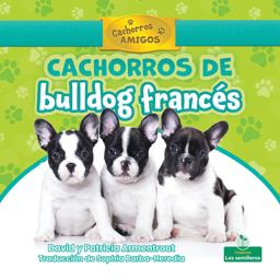 Cachorros de Bulldog Francés