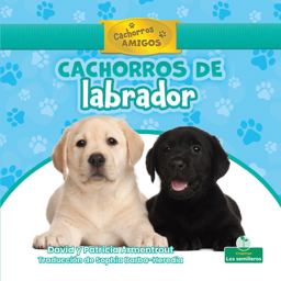 Cachorros de Labrador