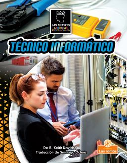Técnico Informático