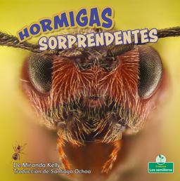 Hormigas Sorprendentes Hormigas Sorprendentes
