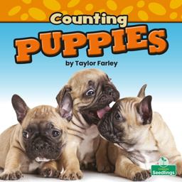 Counting Puppies Counting Puppies