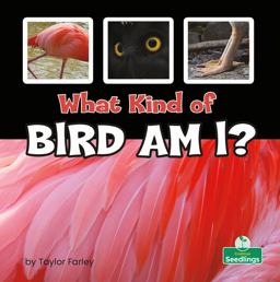 What Kind of Bird Am I? What Kind of Bird Am I?