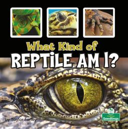 What Kind of Reptile Am I? What Kind of Reptile Am I?