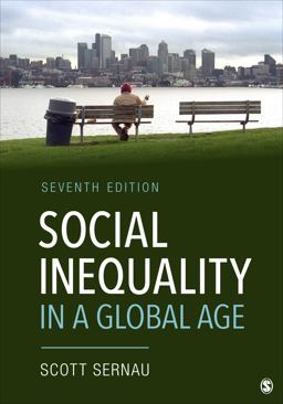 Social Inequality in a Global Age 7th 9781071850947 Front Cover