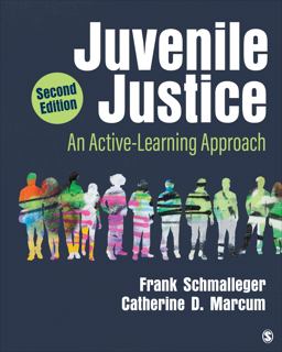 Juvenile Justice An Active-Learning Approach 2nd 9781071923238 Front Cover
