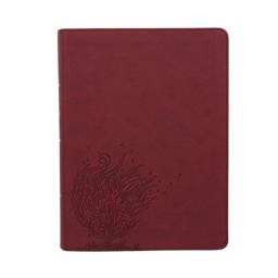 CSB Experiencing God Bible, Burgundy LeatherTouch