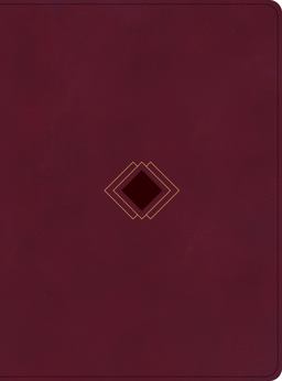 CSB Day-By-Day Chronological Bible, Burgundy LeatherTouch
