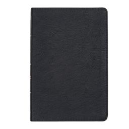CSB Large Print Thinline Bible, Black LeatherTouch