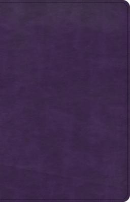 CSB Large Print Personal Size Reference Bible, Purple LeatherTouch