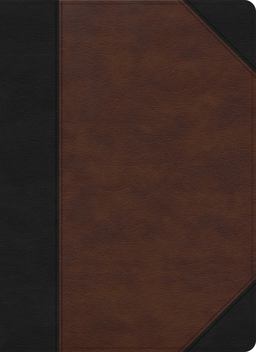 CSB Verse-By-Verse Reference Bible, Black/Brown LeatherTouch