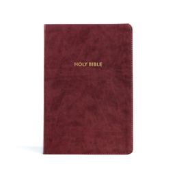 KJV Rainbow Study Bible, Burgundy LeatherTouch KJV Rainbow Study Bible, Burgundy LeatherTouch