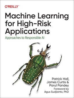 Machine Learning for High-Risk Applications 1st 9781098102432 Front Cover