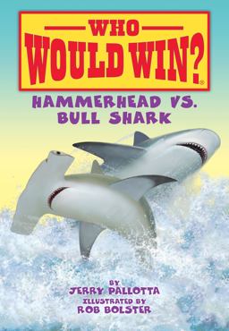 Hammerhead vs. Bull Shark Hammerhead vs. Bull Shark