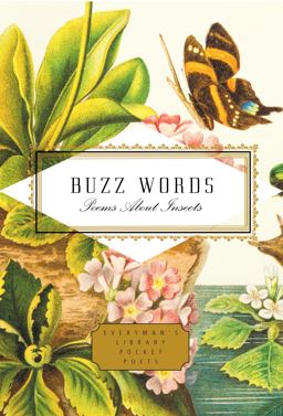 Buzz Words Buzz Words