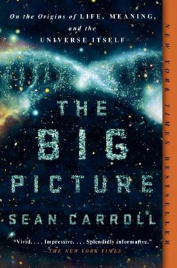 Big Picture On the Origins of Life, Meaning, and the Universe Itself  9781101984253 Front Cover