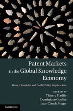Patent Markets in the Global Knowledge Economy Theory, Empirics and Public Policy Implications  9781107047105 Front Cover