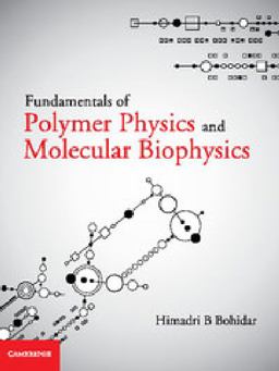 Fundamentals of Polymer Physics and Molecular Biophysics  9781107058705 Front Cover