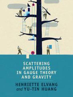 Scattering Amplitudes in Gauge Theory and Gravity  9781107069251 Front Cover