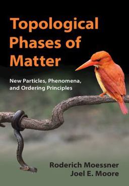 Topological Phases of Matter  9781107105539 Front Cover