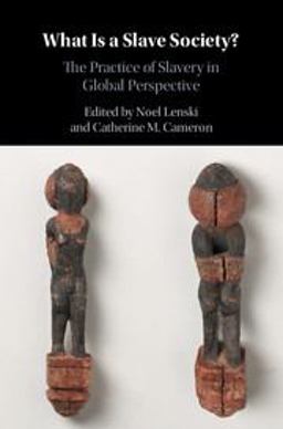 What Is a Slave Society?: The Practice of Slavery in Global Perspective  9781107144897 Front Cover