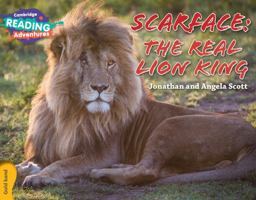 Scarface: the Real Lion King Gold Band