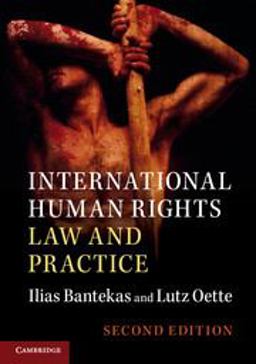 International Human Rights Law and Practice:  9781107562110 Front Cover