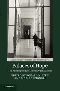 Palaces of Hope The Anthropology of Global Organizations  9781107566361 Front Cover